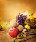 Fall Background with Nuts and Fruits