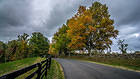 Fall Landscape Background