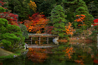 Fall River Background