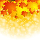 Fall leaves Background