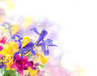 Floral Decorative Background