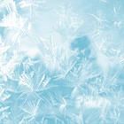 Frozen Icy Background