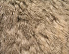 Fur Background