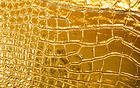 Gold Skin Background