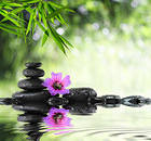 Green Spa Background