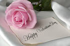Happy Valentines Day with Pink Rose Background