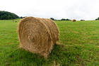 Hay Bale and Grass Background