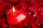 Heart Candle and Rose Petals Background