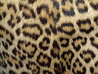 Leopard Skin Background