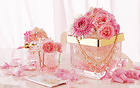 Lovely Delicate Pink Background with Flowers