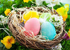 Nice Background with Easter Eggs and Flowers