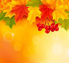 Orange Fall Leaves Background