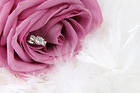 Pink Rose Wedding Background