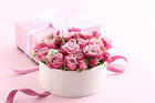 Pink Roses Pink Background