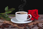 Red Rose and Coffee Background