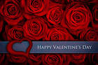Red Roses Background Happy Valentines Day