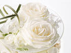 Rose Wedding Background