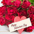 Roses Happy Valentine's Day Background