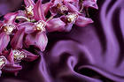 Satin with Orchids Background