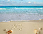 Sea Sand and Shells Background