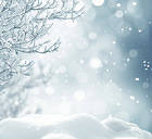 Snowy Background with Branches