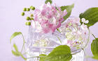 Soft Pink Background with Flowers
