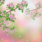 Spring Pink Branches Background