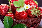 Strawberry Basket Background