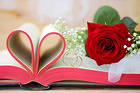 Wedding Background with Red Rose and Rings