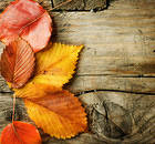 Wooden Background with Autumn Leaves