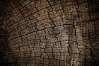Wooden Texture Background