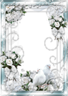 Beautiful Delicate Wedding Transparent Photo Frame with White Roses and Doves