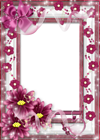 Beautiful Flower Transparent Frame with Pink Bow
