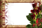Beautiful Golden Frame with Red Roses