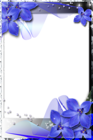 Beautiful Transparent Frame with Blue Orchids