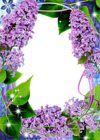 Beautiful Transparent PNG Frame with Lilac