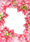 Beautiful Transparent PNG Frame with Red Tulips