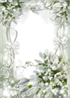 Beautiful White Soft Transparent Frame with Snowdrops