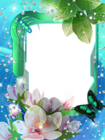 Blue Green Transparent PNG Photo Frame with Flowers | Gallery ...