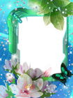 Blue Green Transparent PNG Photo Frame with Flowers