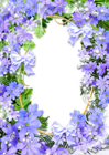 Cute Purple Flowers PNG Photo Frame