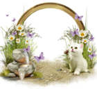 Cute Transparent Frame with White Kitten