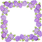 Cute Transparent Purple Flowers Frame