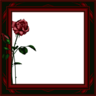 Dark Red Transparent PNG Photo Frame with Roses