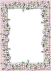 Delicate PNG Transparent Flower Frame