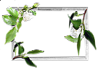 Flowers frame (8)
