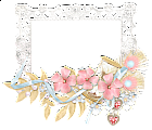 French Transparent Frame with Flowers