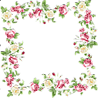 Full Transparent Frame with Roses
