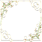 Gold Frame with Delicate Wild Flowers