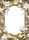 Gold PNG Frame with Diamonds and Roses